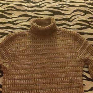 Absolutely Brown and Tan Turtleneck Sweater